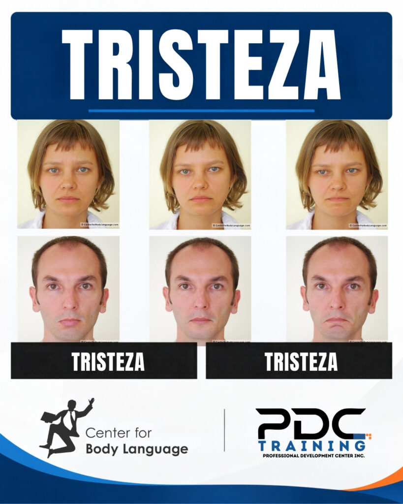 Flashcard microexpresiones - Tristeza
