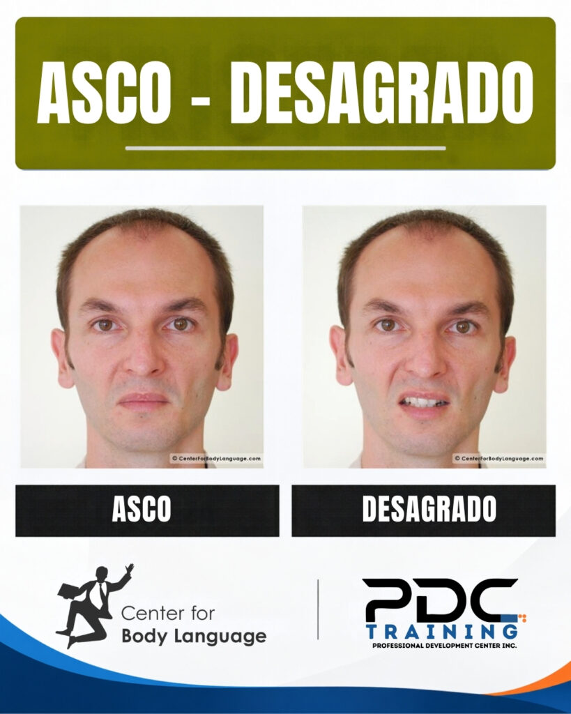 Flashcard microexpresiones - Asco y desagrado
